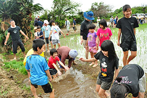 田植え後、小川で泥を落とす子どもたち