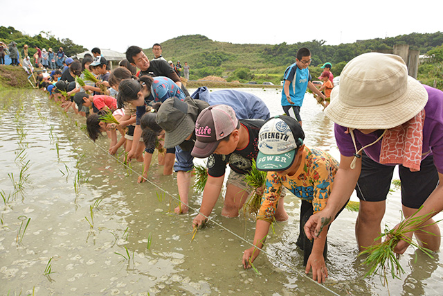 慣れない手つきで田植えをする地域の子どもたち