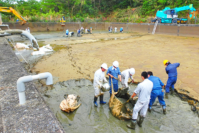 大がかりとなったファームポンドの泥揚作業