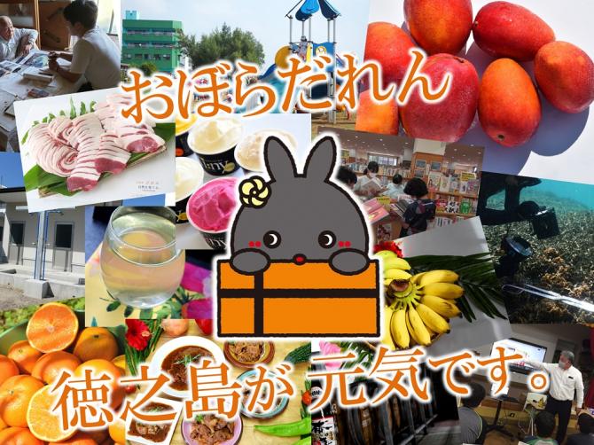 お礼画像