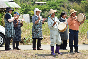 田んぼ中に響いた夏目踊り保存会の田植え歌