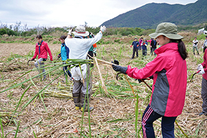 地域おこし協力隊の川口氏が後援し、地元と協力