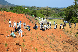 計476本のヤマモモ、イジュ、ホルトノキの苗木を植樹