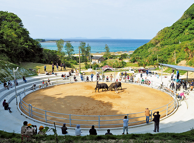 再整備された花徳闘牛場