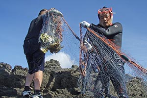 網を引き揚げる参加者