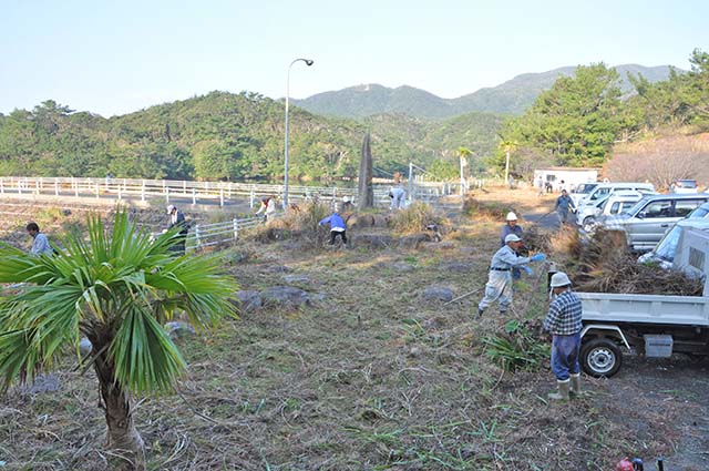 刈り取った雑草を集める参加者