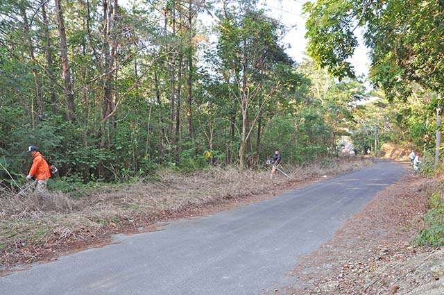 道路周辺の雑草を刈り取る作業員ら