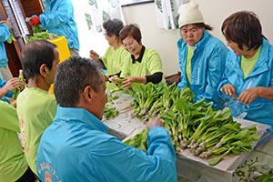 野菜の袋詰め作業をする従業員の皆さん