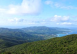 Tokunoshima Island