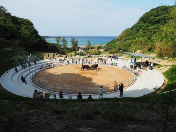 花徳闘牛場