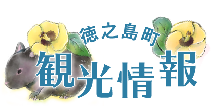 徳之島町観光情報