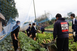 山の幸学習