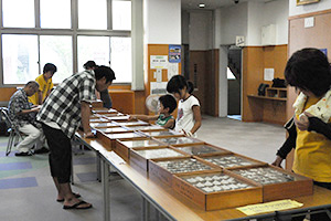 図書館ギャラリーの標本