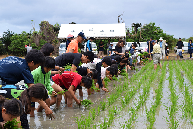 有志により田植えが体験活動プログラムに