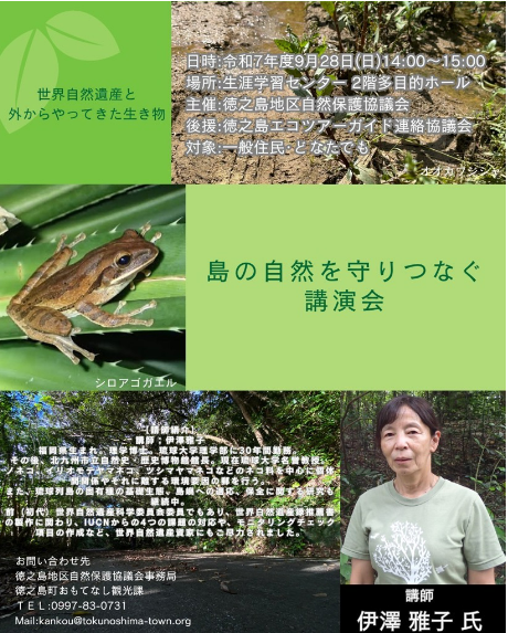 tirashi